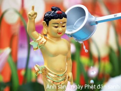 Ánh sáng ngày Phật đản sanh